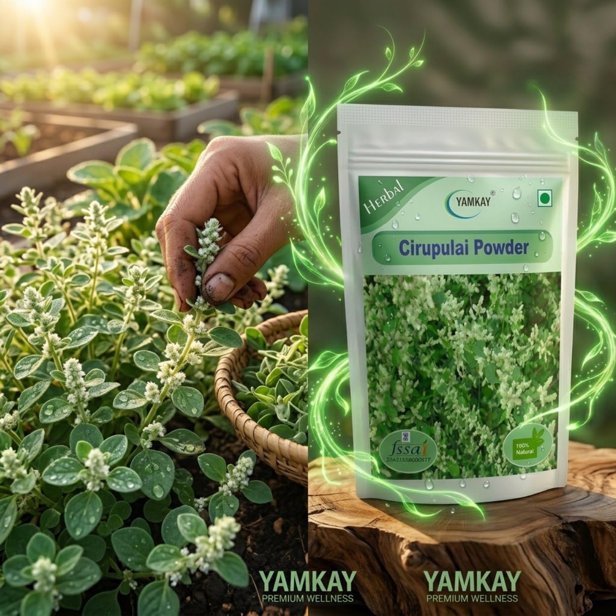 YAMKAY Aerva Lanata Powder 10.58 Ounce