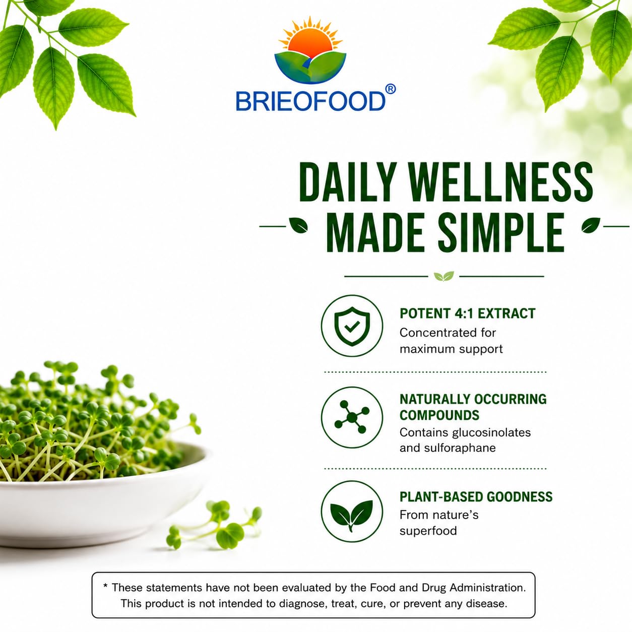 Brieofood Broccoli Sprout Extract 4:1 1000 mg Per Serving 240 Capsules