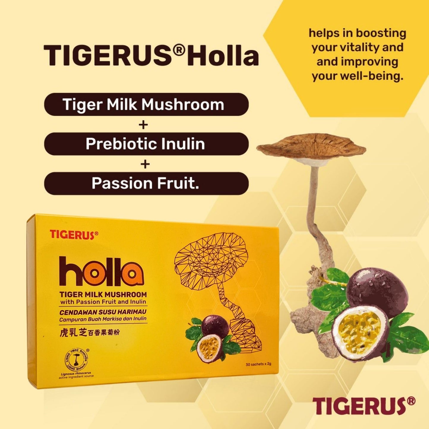 TIGERUS Holla Tiger Milk Mushroom with Passion Fruit and Inulin Powder 0.07 oz