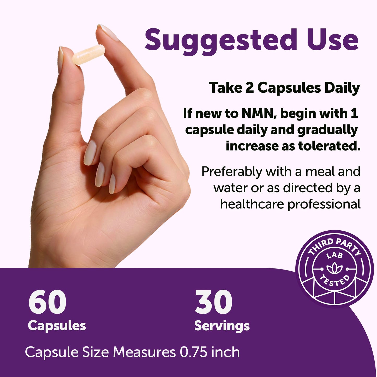 Micro Ingredients NMN Complex 1,000 mg Per Serving, 60 Veggie Capsules