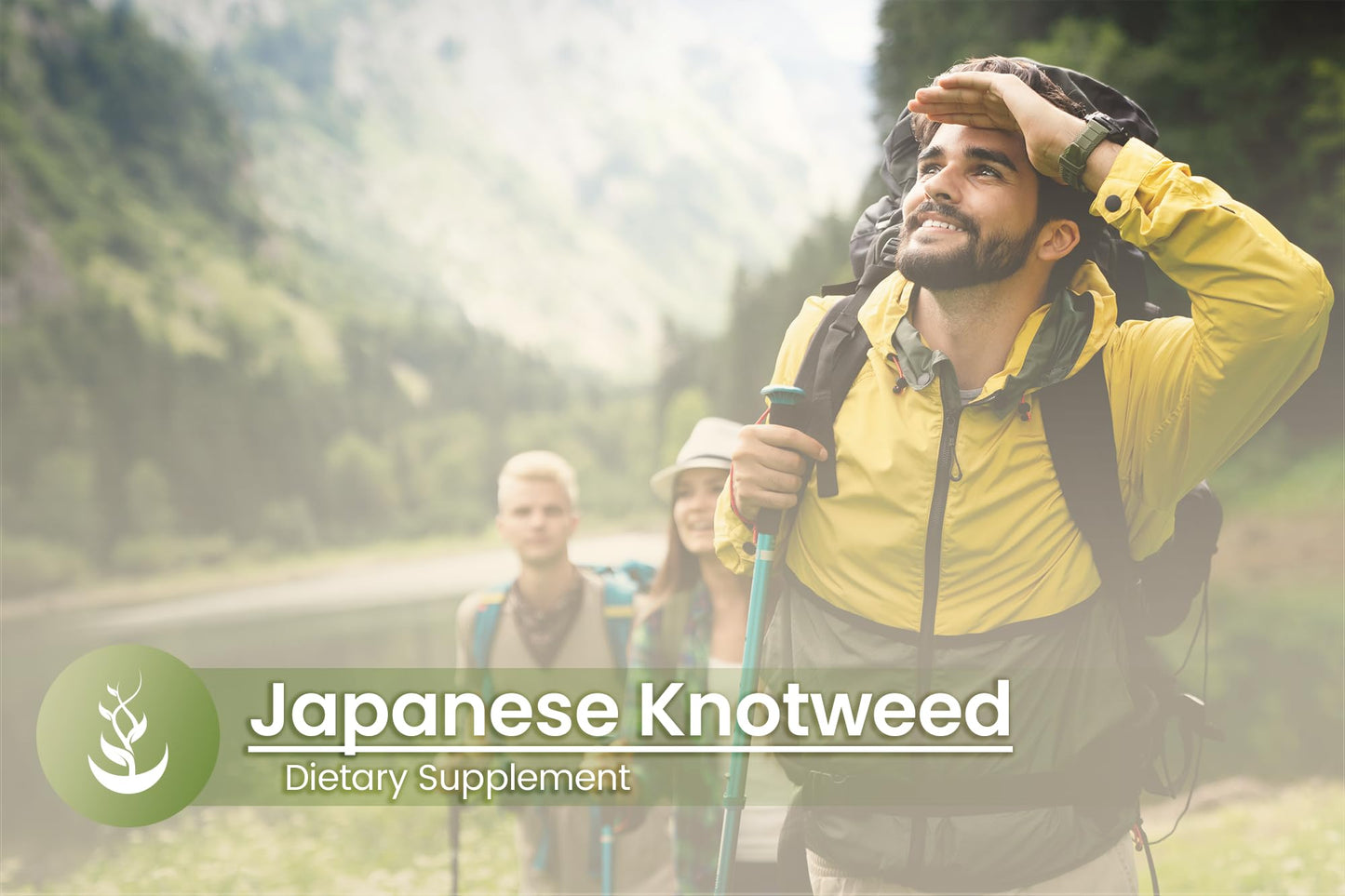 Pure Original Ingredients Japanese Knotweed Capsules 100 Count