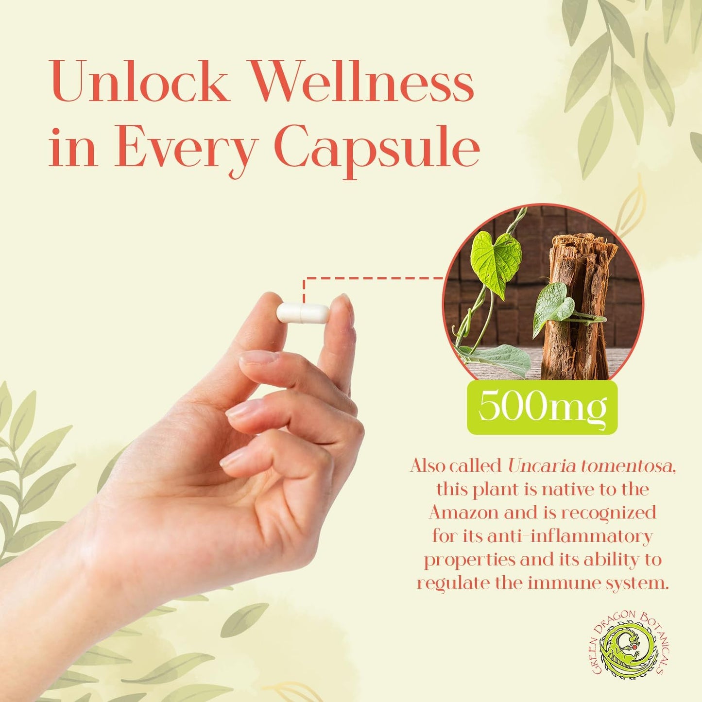 Green Dragon Botanicals Cat’s Claw (Uncaria Tomentosa) Vine Bark 500 mg Capsules, 100 Count