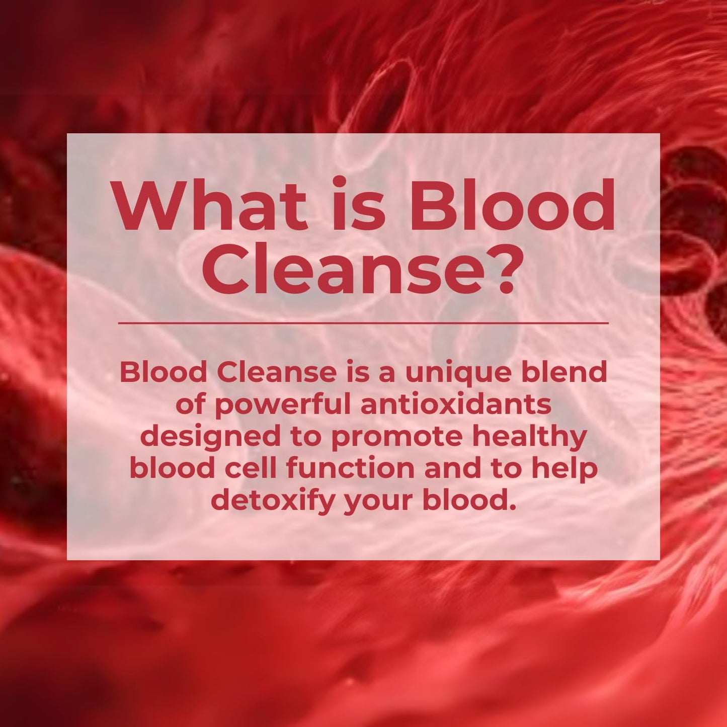 Health Plus Blood Cleanse 90 Capsules