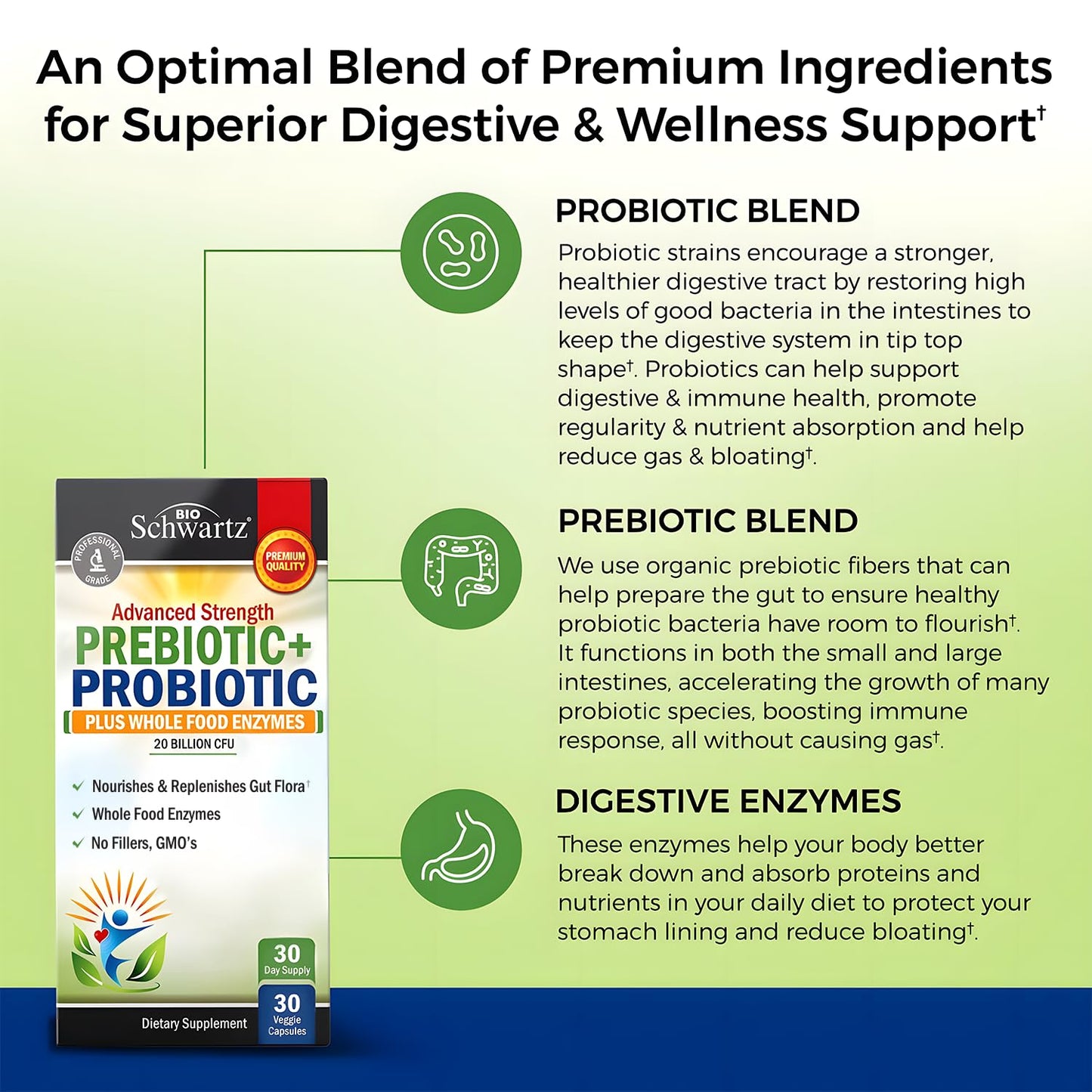 BioSchwartz Advanced Prebiotics and Probiotics for Women & Men, Immune, Digestive & Gut Health with L. Reuteri, Inulin Fiber, Digestive Enzymes, Non-GMO, Gluten-Free, Dairy-Free, 30 Capsules