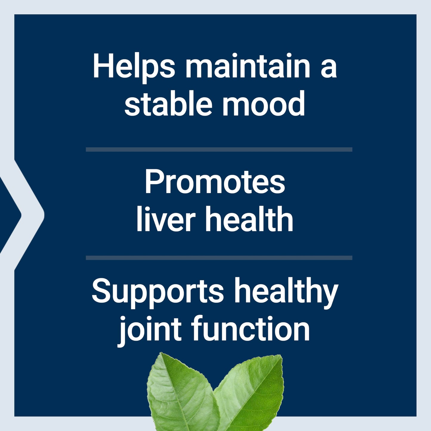 Life Extension Same, Mood, Joint & Liver Support Tablet 30 Tablets