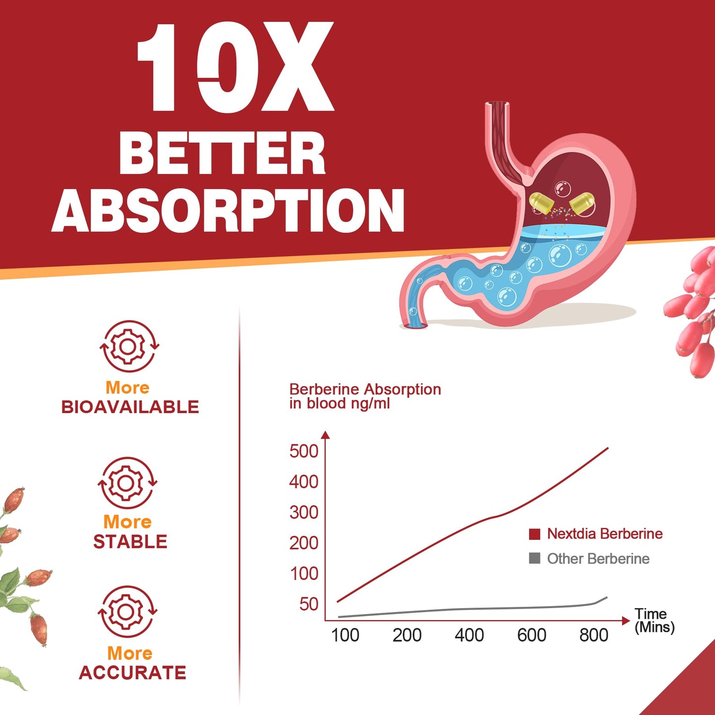 Nextdia Berberine Supplement Organic 1500mg with Ceylon Cinnamon Bitter Melon, Liposomal Berberine HCL Complex Supplements, Immune & Digestive Support - Non-GMO, Organic, Vegan, 120 Capsules