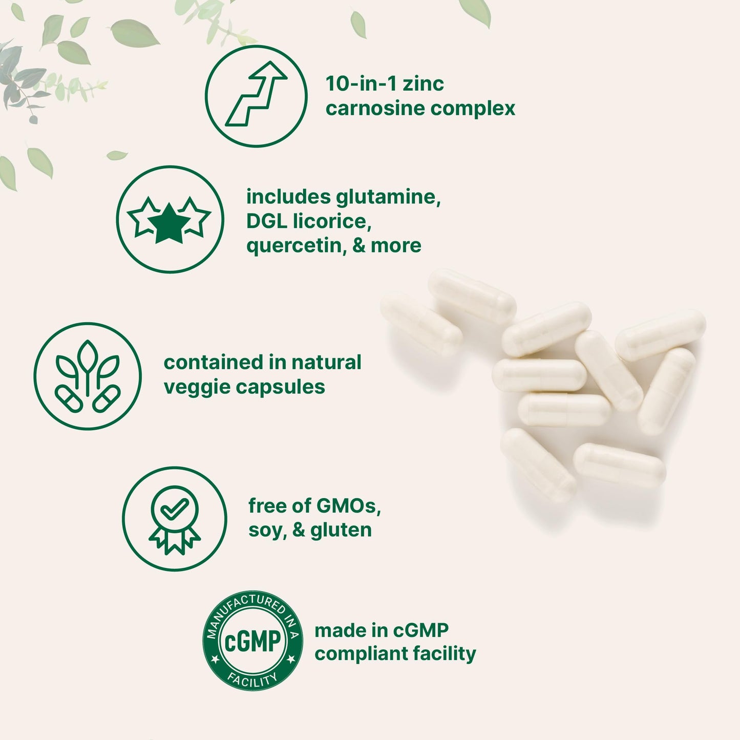 Micro Ingredients Zinc Carnosine 10-in-1 Complex 825mg per Serving Capsules, 240 Count