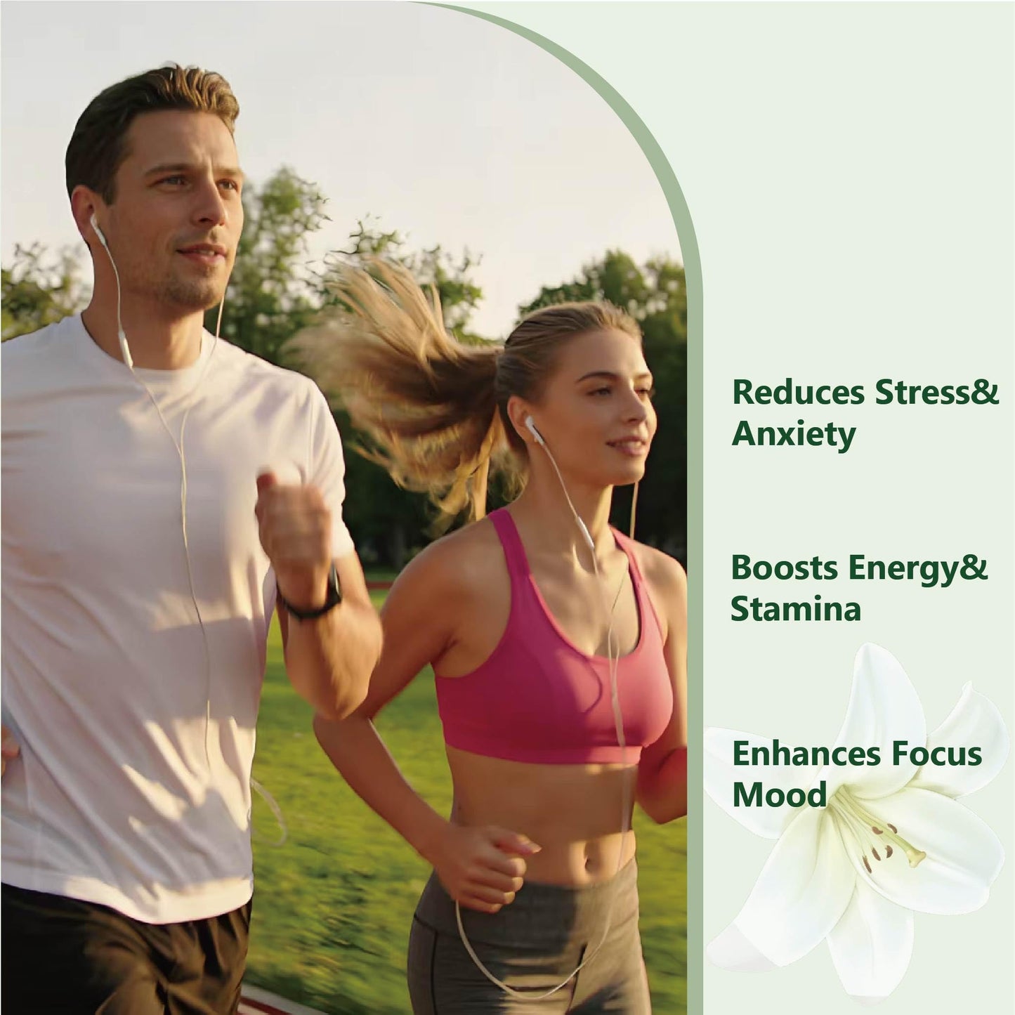 InstaLift Rhodiola Rosea 500mg Capsule, 60 Capsules