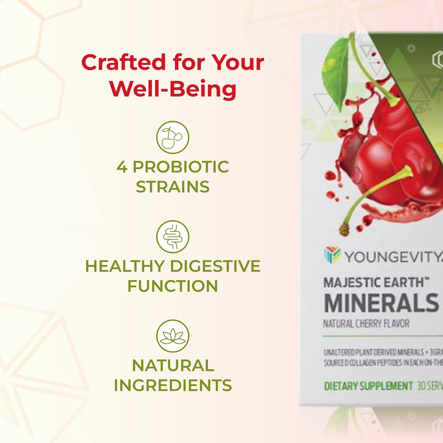 Youngevity Majestic Earth Mineral STX Plant Derived Minerals Powder 5.9