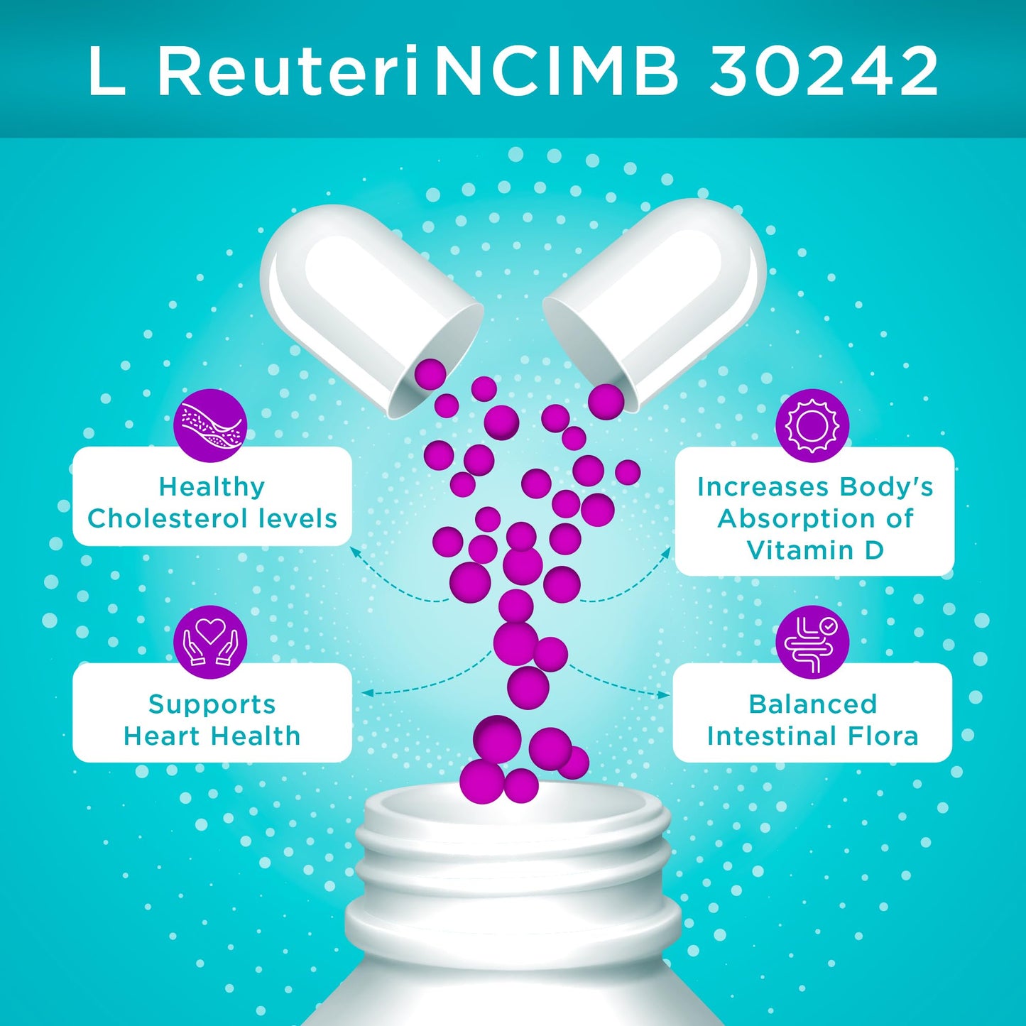 Microbiome Plus Gastrointestinal Probiotics L Reuteri NCIMB 30242 Capsule, 56 Count