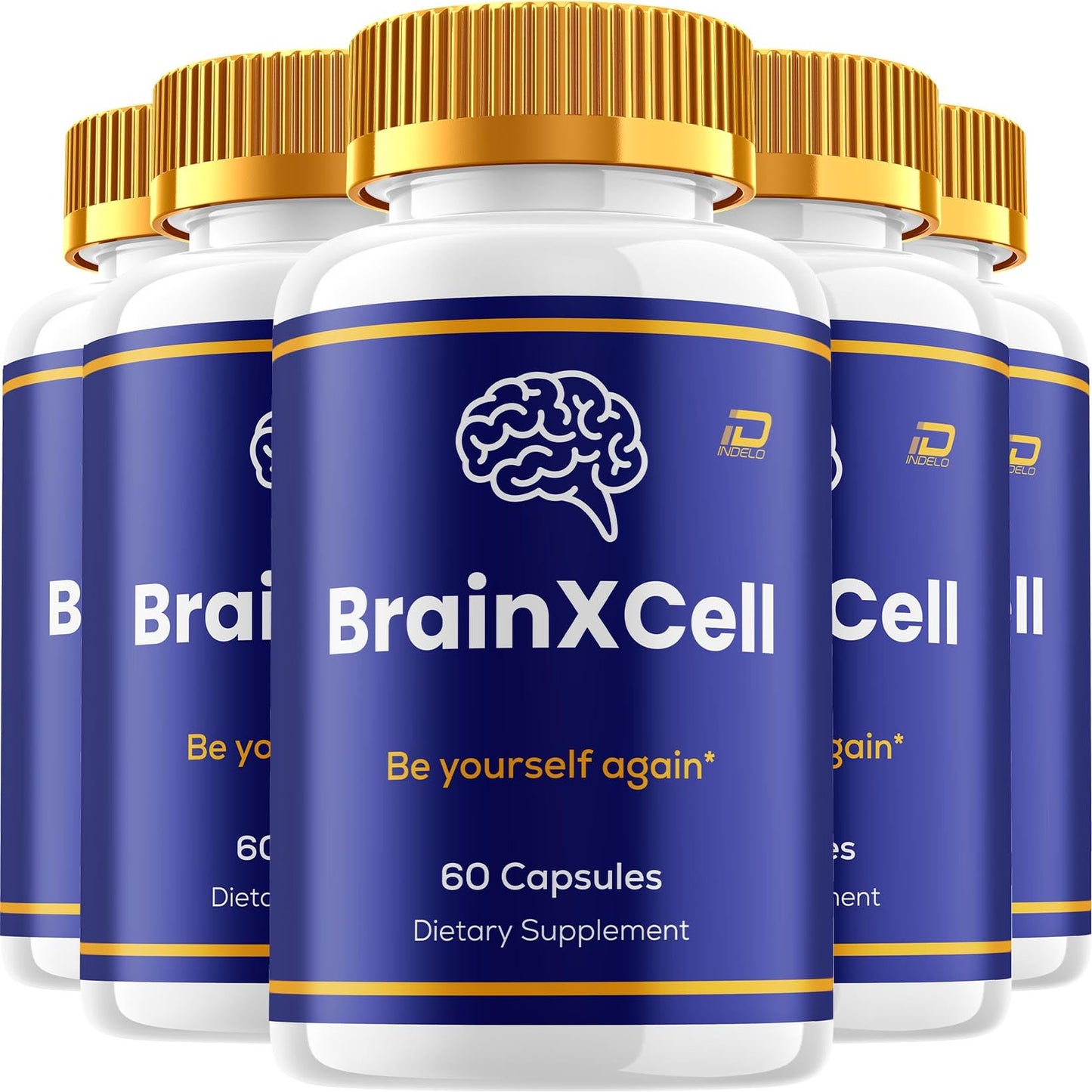 Indelo BrainXCell Advanced Formula Supplement 300 Capsules