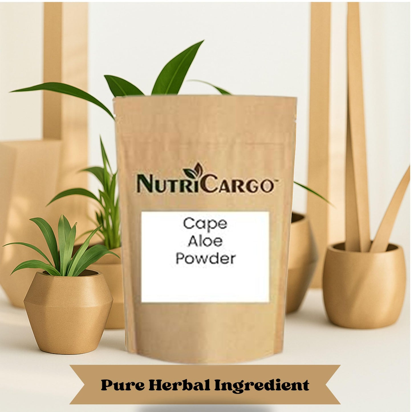 NutriCargo Cape Aloe Powder 1 Count