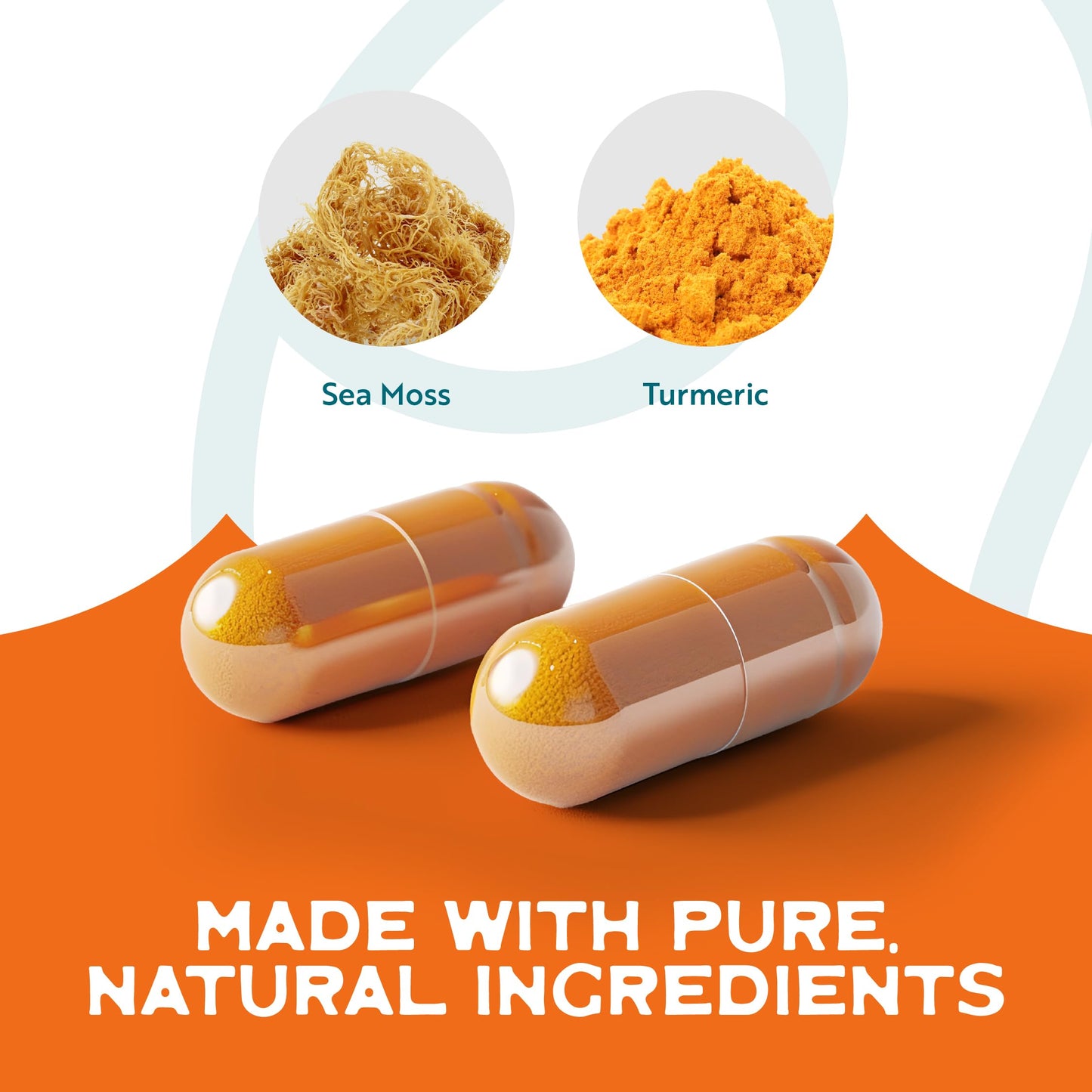 Herbal Vineyards Organic Wildcrafted Sea Moss and Turmeric 60 Capsules