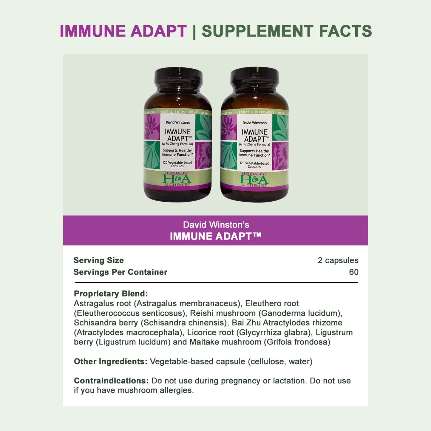 Herbalist & Alchemist David Winston's Immune Adapt Fu Zheng Capsules, 240 Capsules