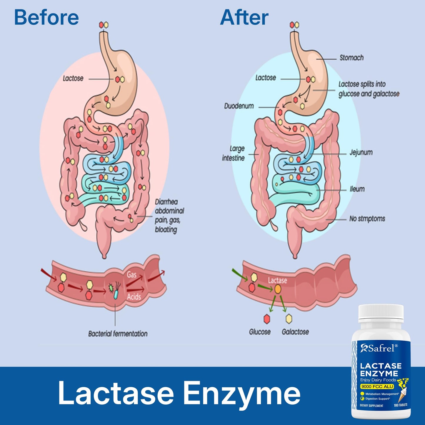 Safrel Lactase Enzyme 9000 FCC Unflavored Tablets, 180 Count