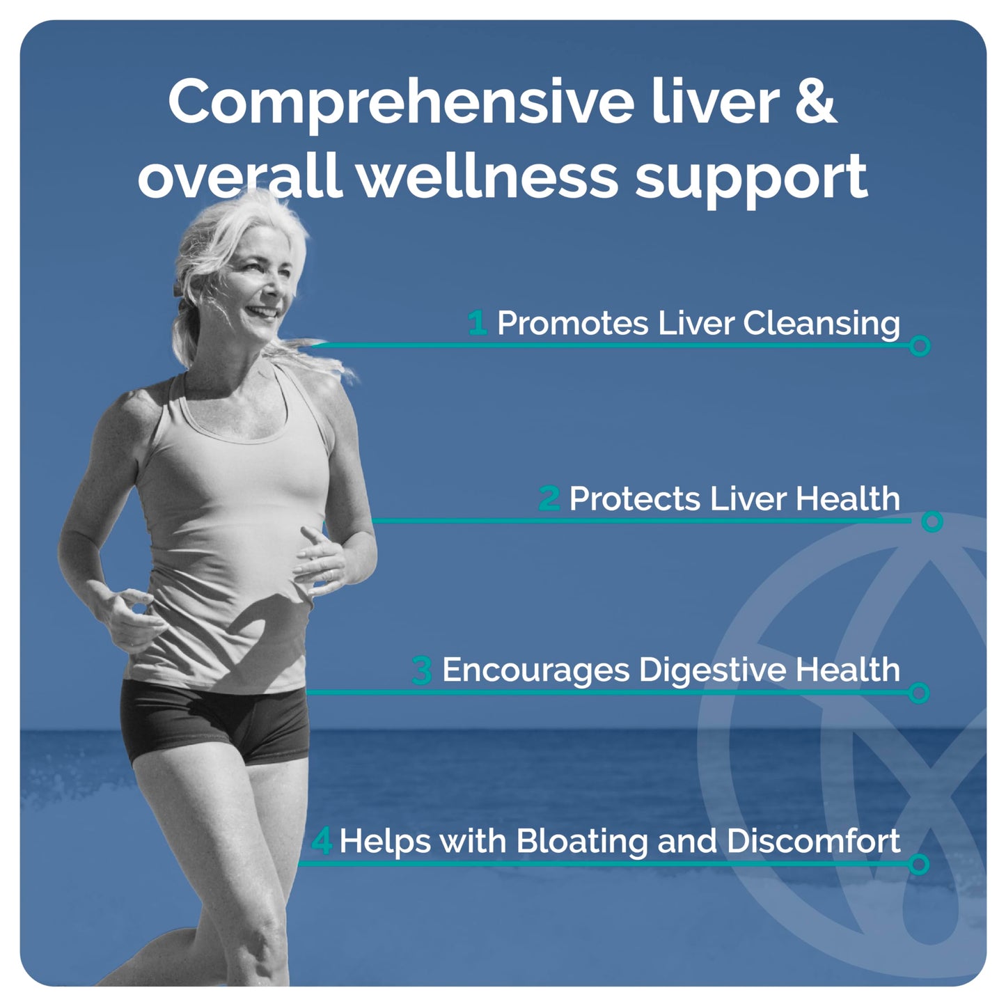 SYNVITE Liver Wellness Capsule 60 Count