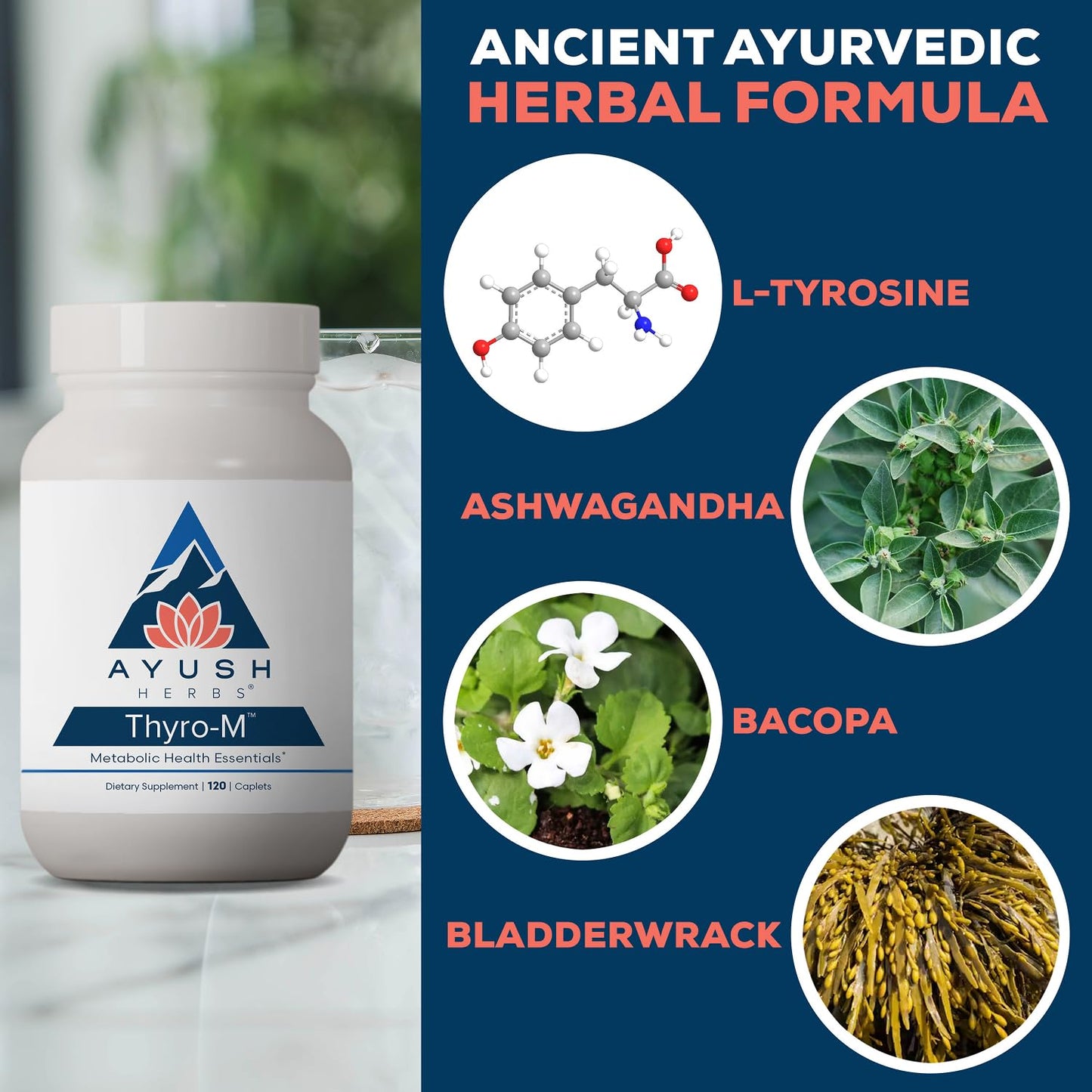 Ayush Herbs Thyro-M Thyroid Support for Women & Men Tablets, 120