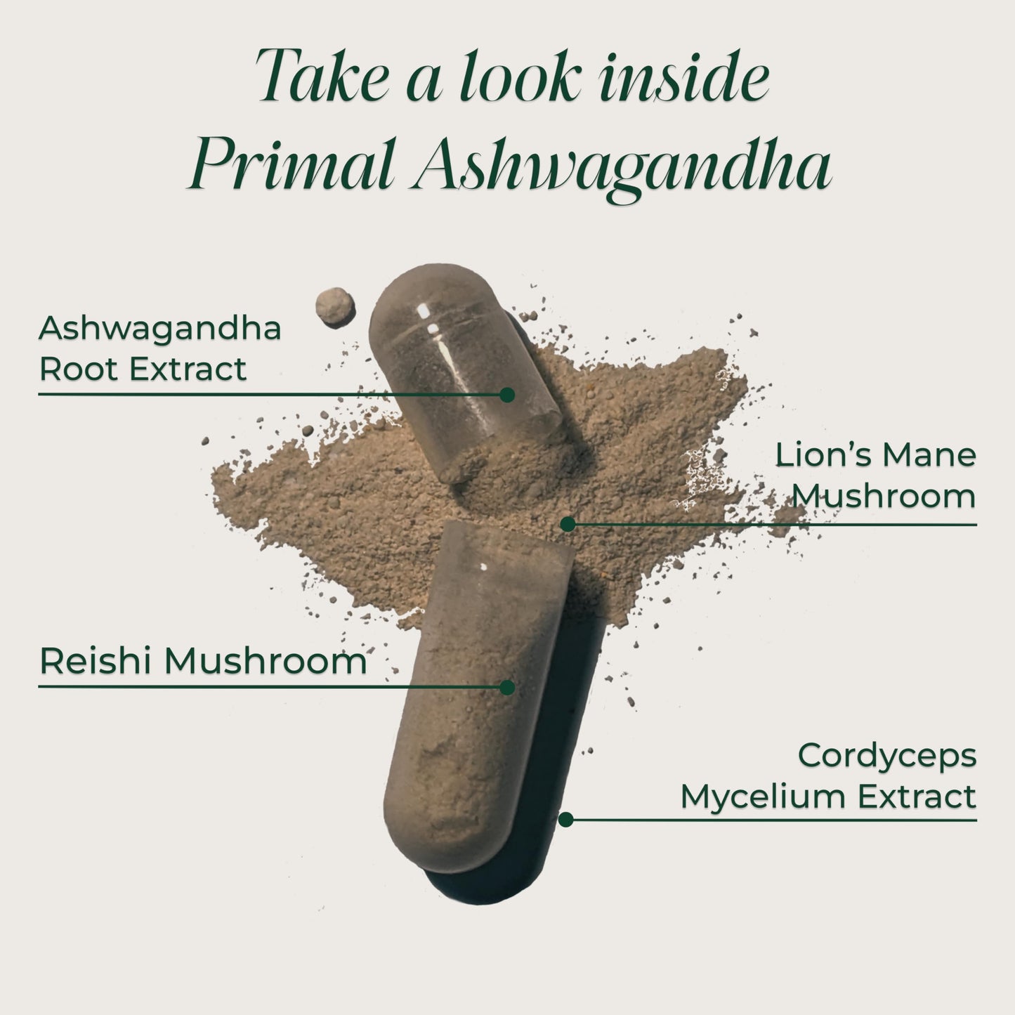 Primal Harvest Ashwagandha Supplement with 5 Mushroom Extracts (Lion’s Mane, Reishi, Cordyceps, Turkey Tail & Maitake) Capsule, 60 Count