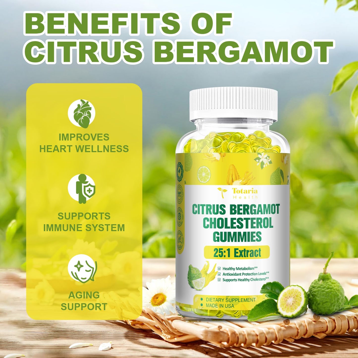 Totaria Sugar Free Citrus Bergamot Gummies - 25:1 Extract from Italian Bergamot, 60 Gummies
