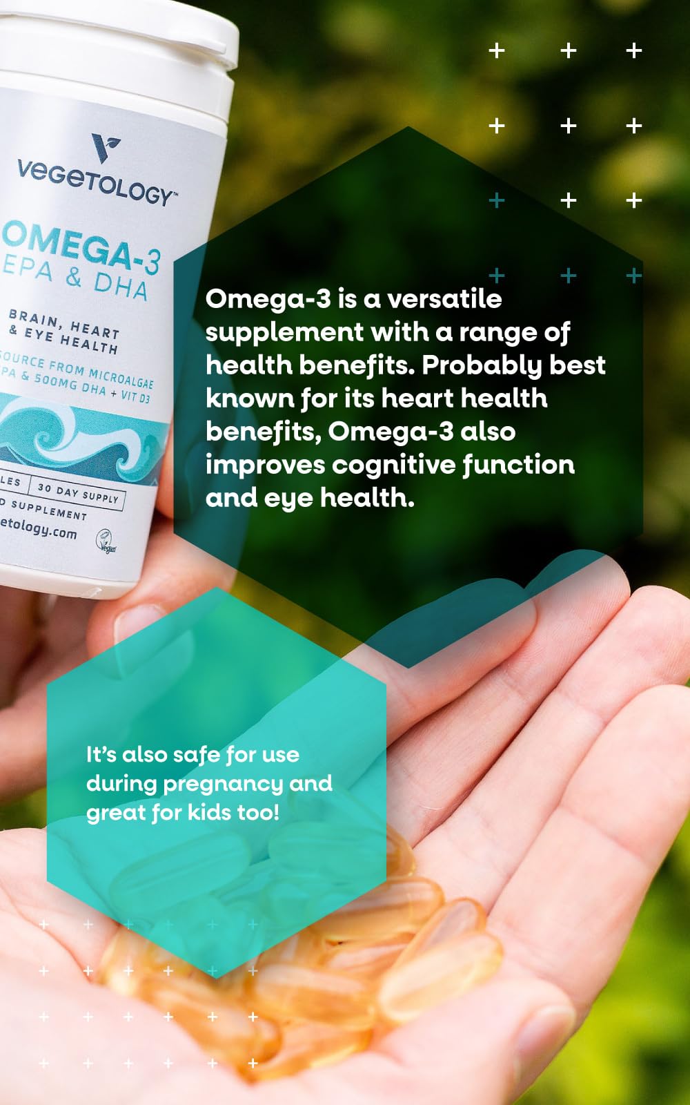 VEGETOLOGY Vegan Omega-3 Supplement, 60 Capsules
