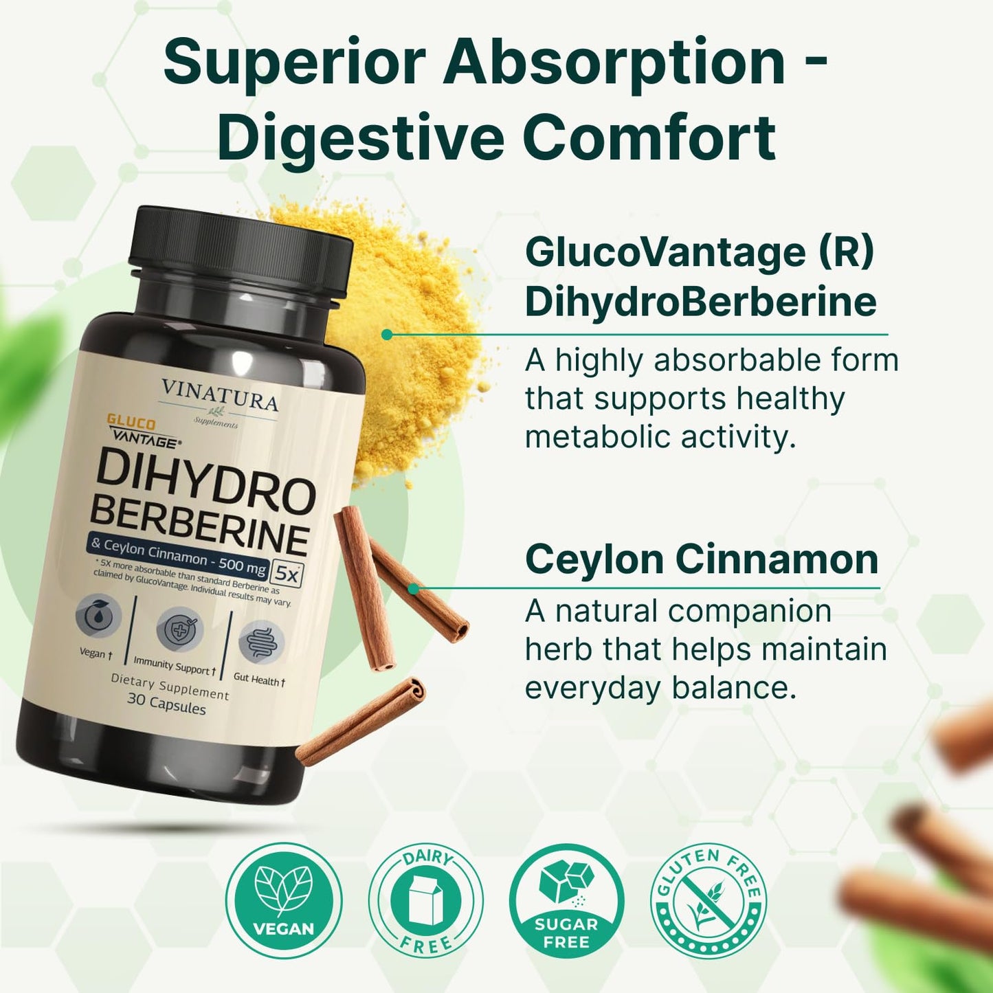 VINATURA Dihydroberberine 500mg with Ceylon Cinnamon Capsule, 30 Count