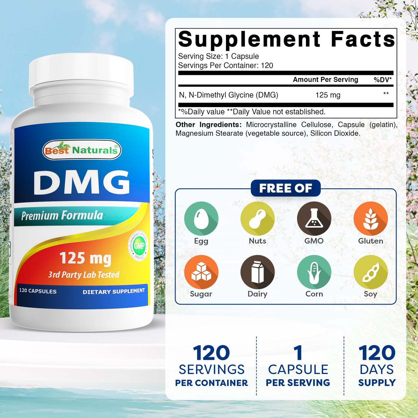 Best Naturals DMG 125 mg Capsule 120 Count
