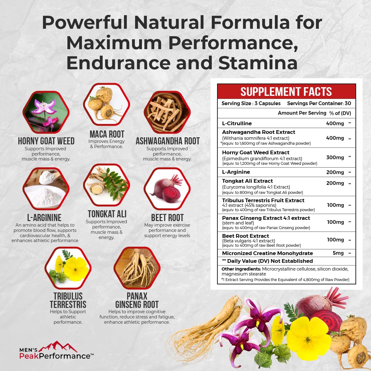 MEN'S PeakPerformance Male Maximizer Ultra – Testosterone Support Supplement for Men – Energy, Stamina, Endurance & Strength – Ashwagandha, Tongkat Ali, Tribulus 90 Capsules