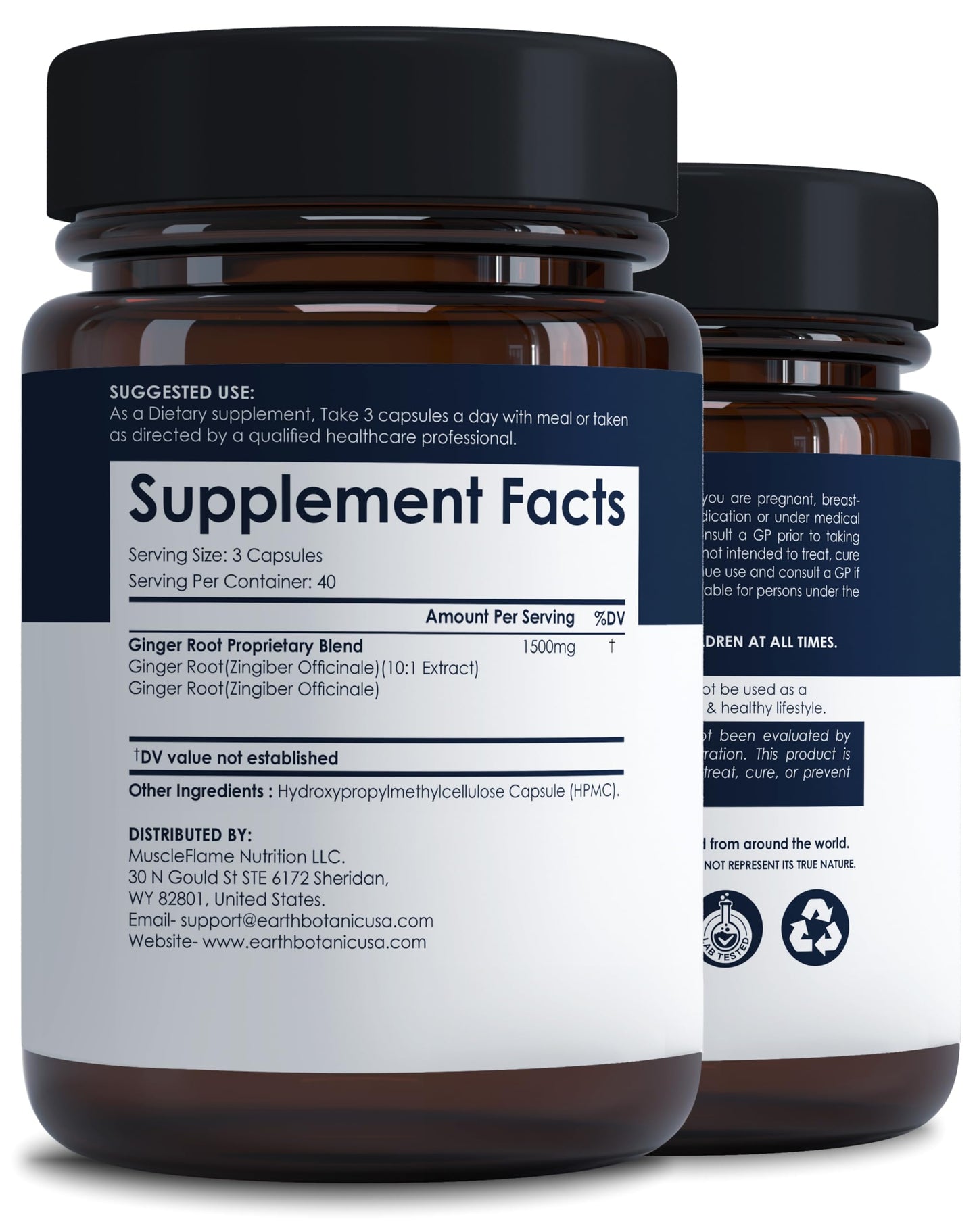 Earth BOTANIC Organic Ginger Capsules 1500 mg Ginger Root Extract 10:1 Concentrated Herbal Supplement, Digestive Support & Gut Comfort, Antioxidant Formula, Plant Based, Non-GMO, 120 Veg Capsules