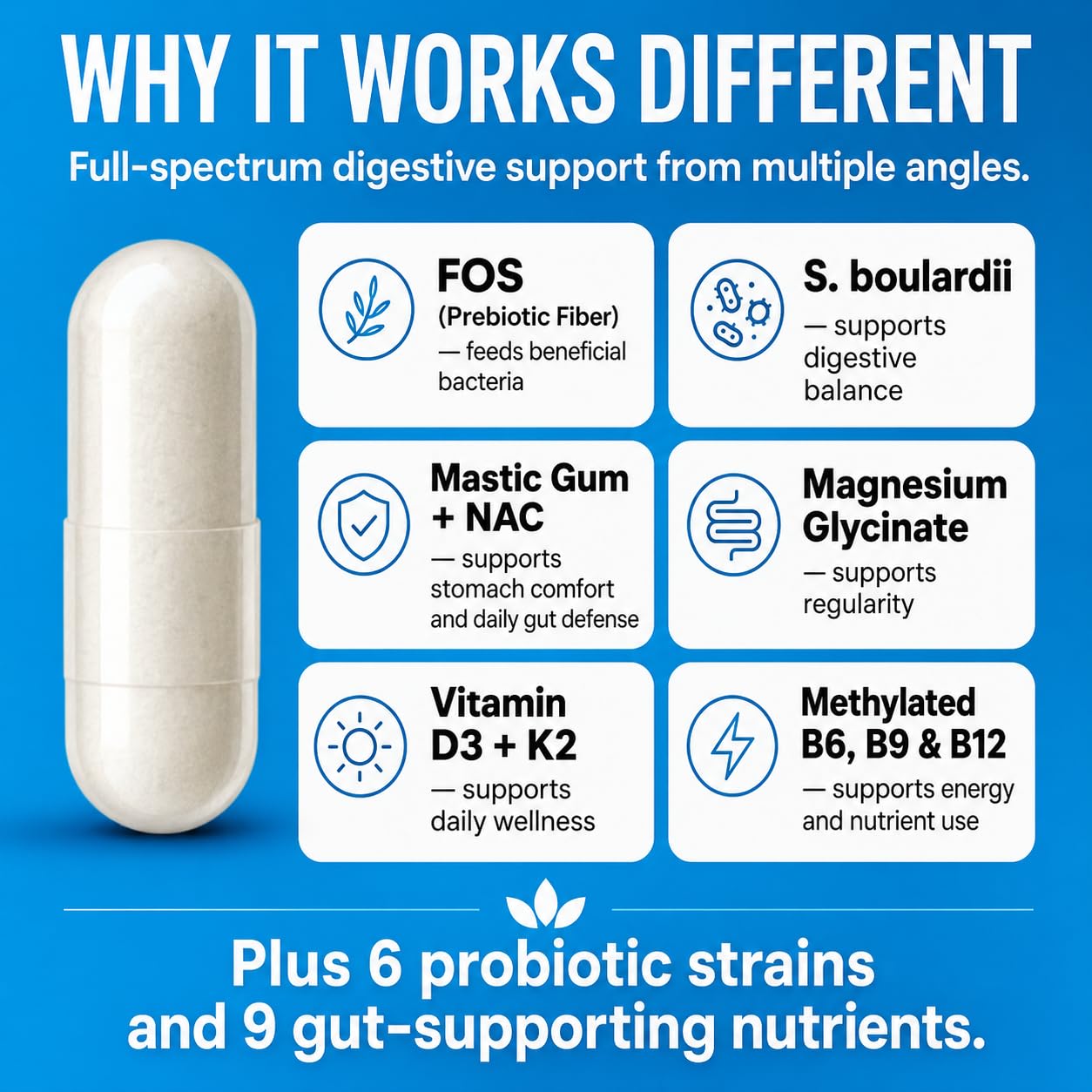 UMB Natures Journey Daily Synbiotic 50 Billion CFU – 6 Strains Probiotics for Women & Men with Prebiotic Fiber, Digestive & Gut Health, Immune Support, 9 Gut-Supporting Nutrients, 60 Capsules