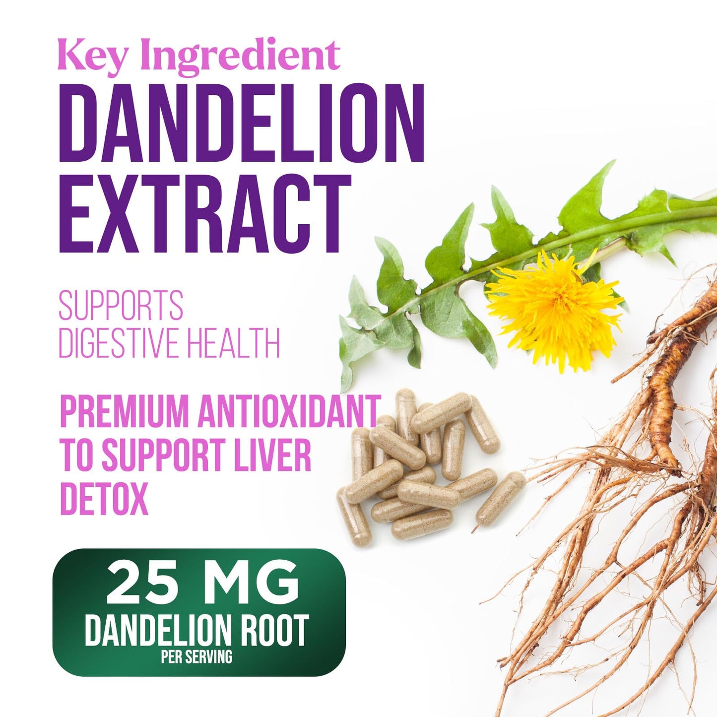 Nature's Nutrition Milk Thistle Extract with Silymarin Marianum & Dandelion Capsules, 120 Count