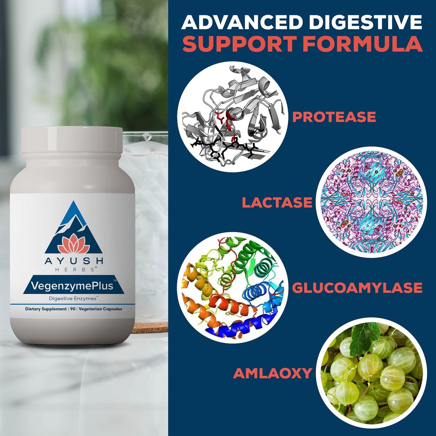 Ayush Herbs VegenzymePlus Digestive Enzymes for Women & Men Capsule 90 Count