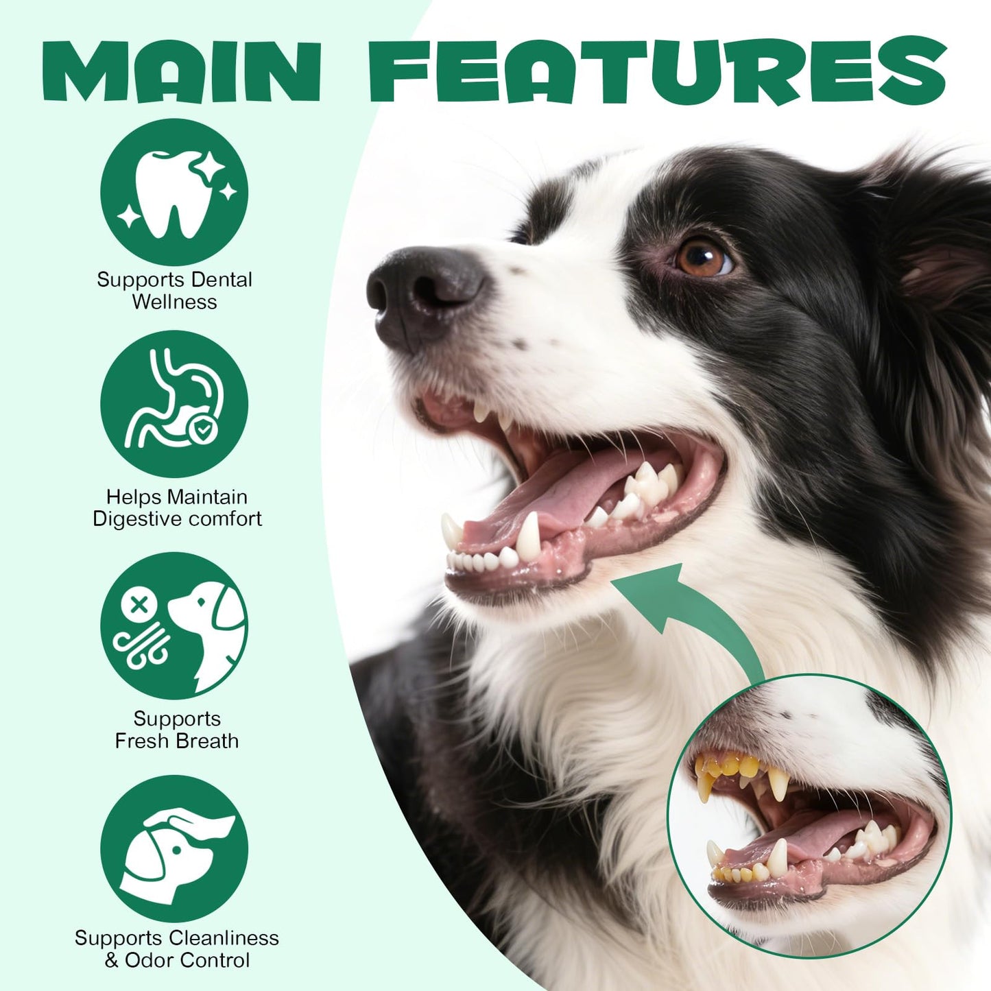 AIQIUSHA Activated Charcoal Powder for Dogs & Cats, 120 g