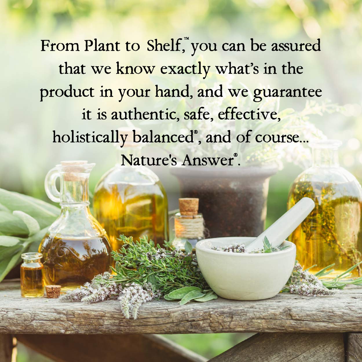 Nature's Answer Butcher's Broom Root Supplement Capsules 90 Count