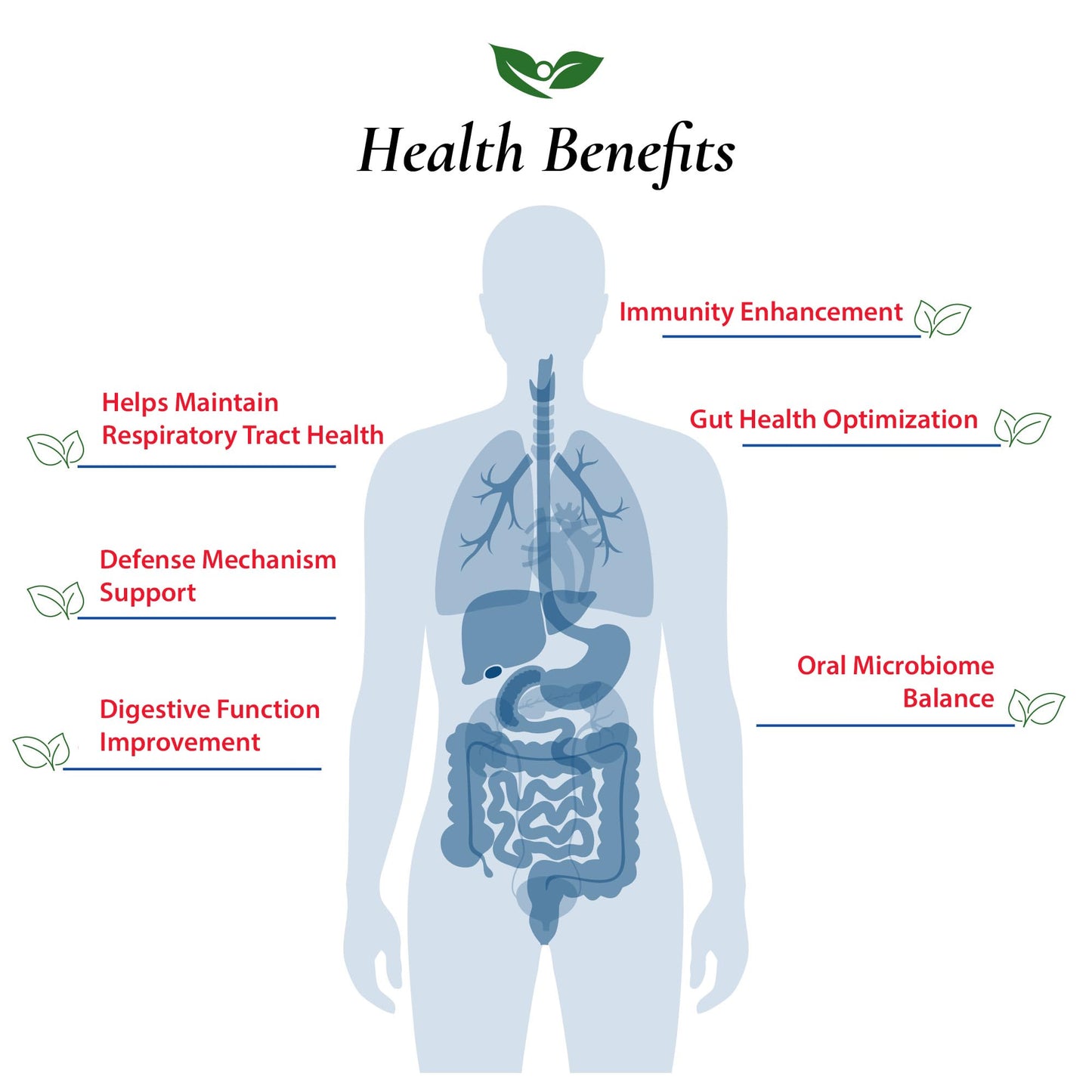 Foods For Gut Lactobacillus Salivarius Probiotic 300 Billion CFU's Powder 60 Gram