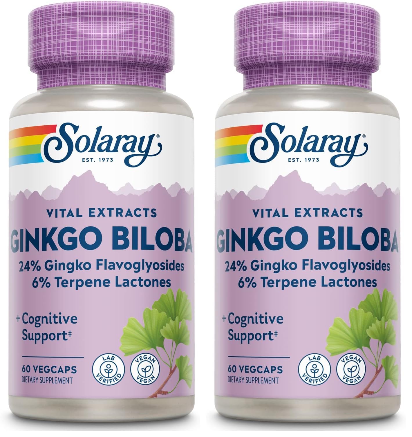SOLARAY Ginkgo Biloba Extract 60mg Capsule, 120 Count