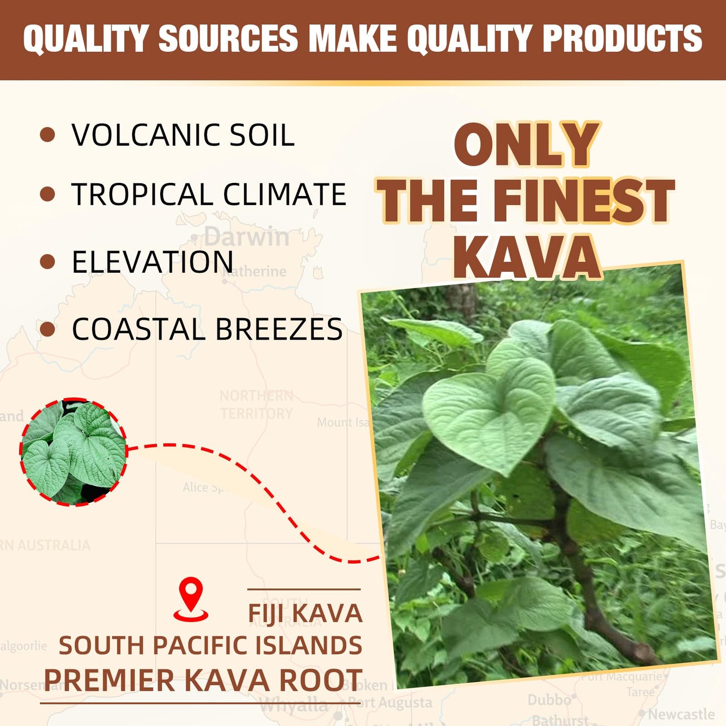 HEALOADING Kava Kava Root Extract Supplement Gummies, 60 Count
