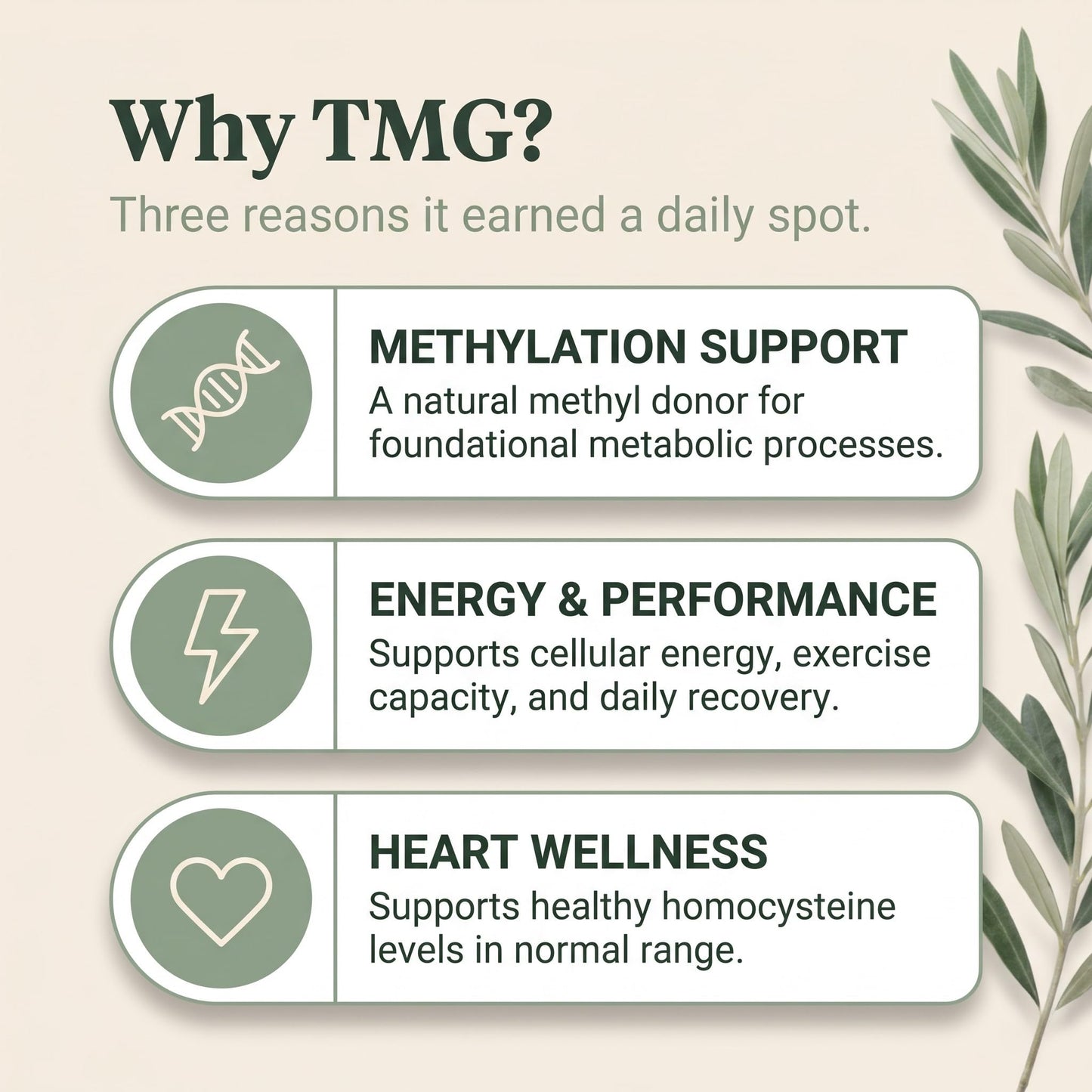 Bulk Essentials TMG Supplements – Trimethylglycine as Betaine Anhydrous Powder 17.63
