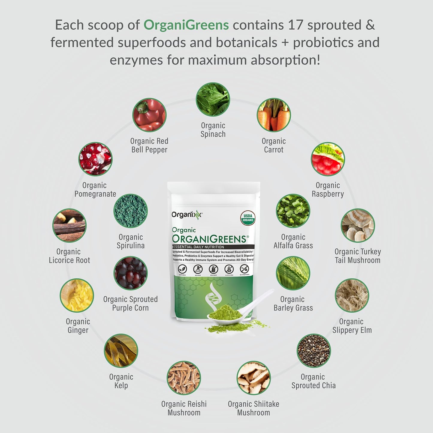 Organixx OrganiGreens Superfood Powder, 10oz