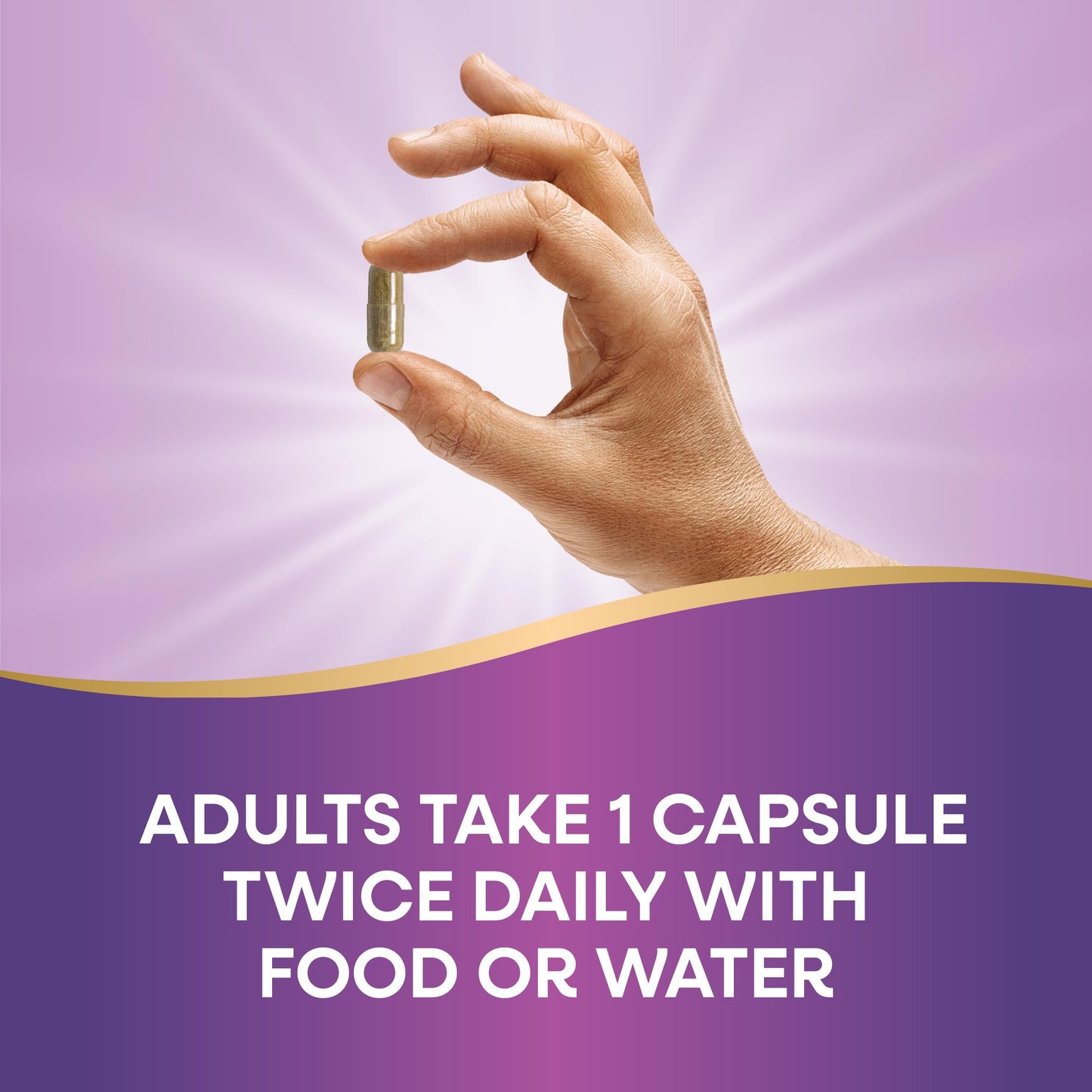 Nature's Way Olive Leaf Premium Extract Capsules 60