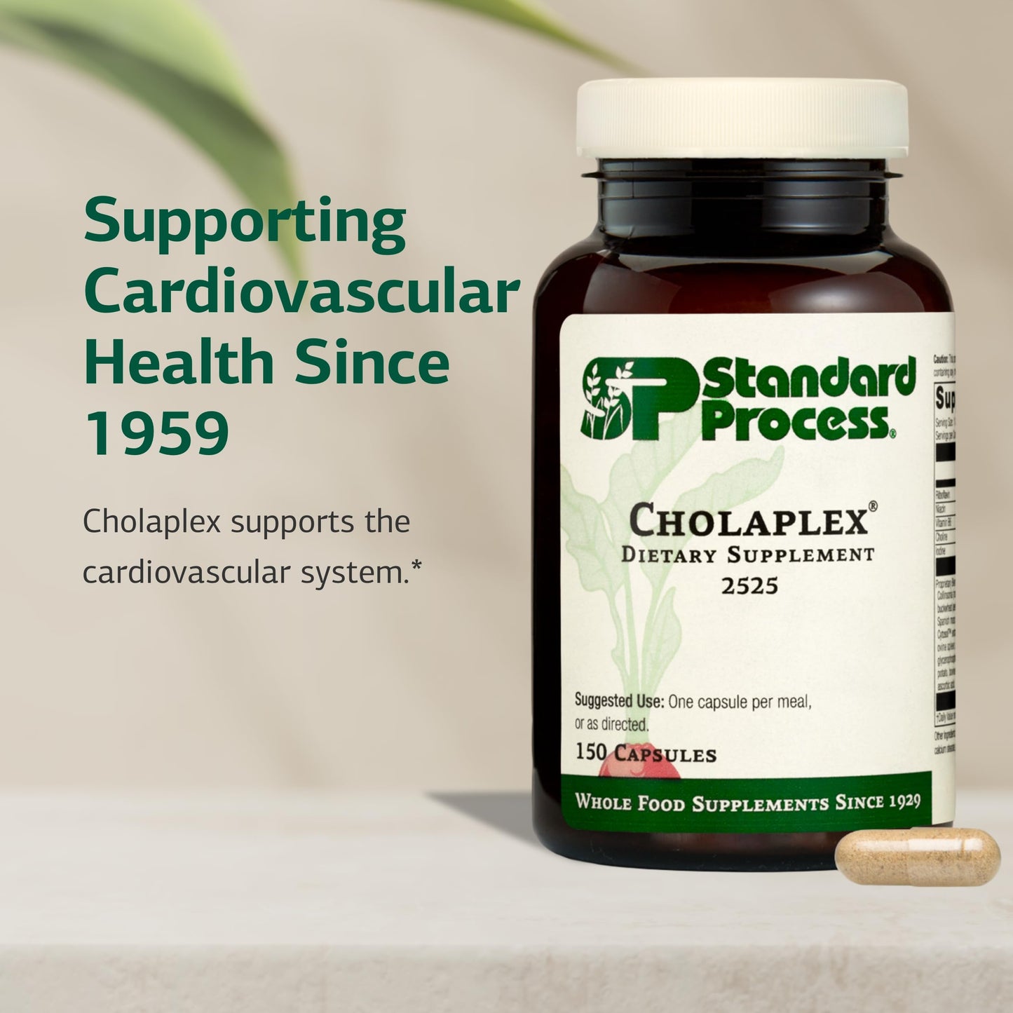 Standard Process Inc. Cholaplex Capsule 150