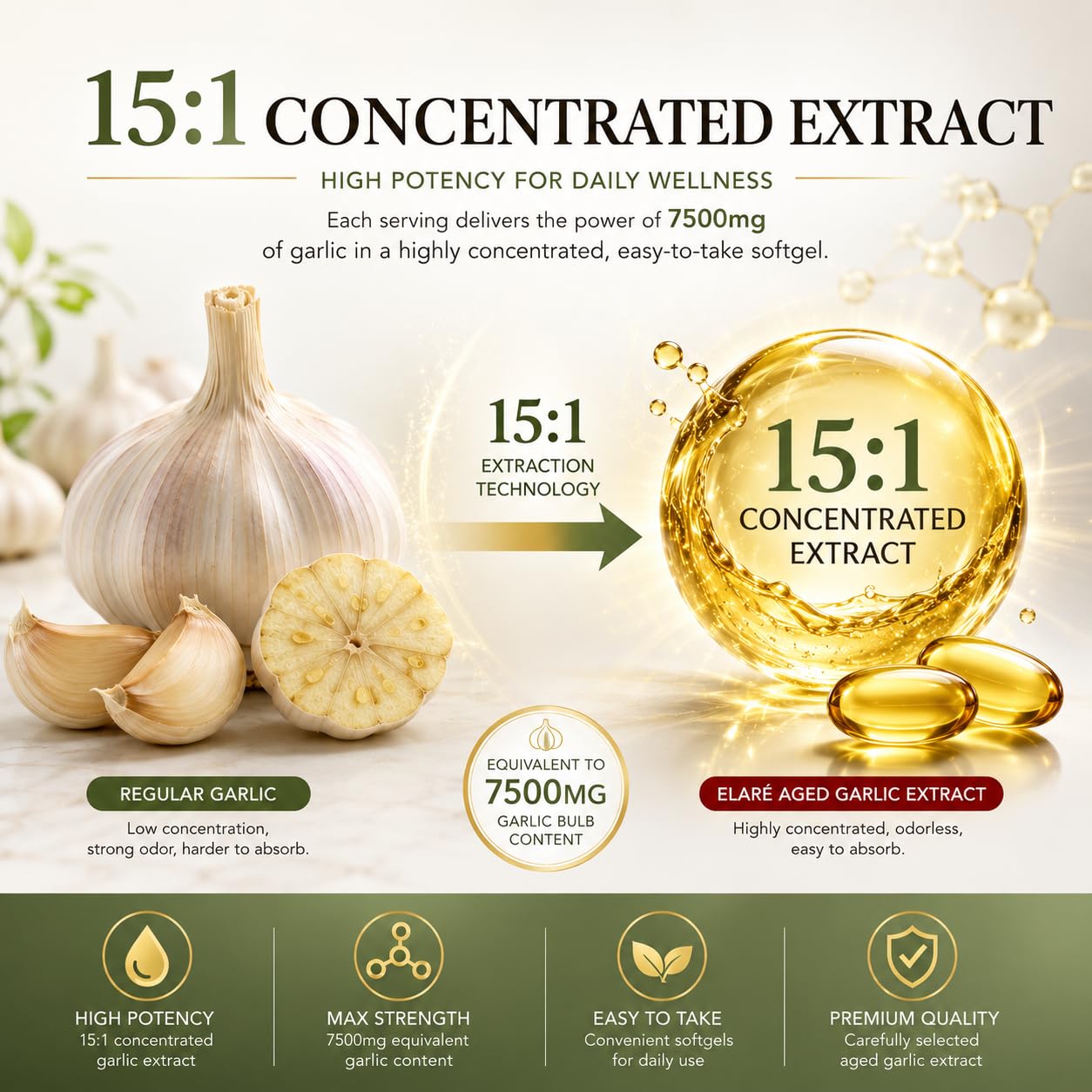 ELARE Premium Aged Garlic Extract Capsule, 1 Count