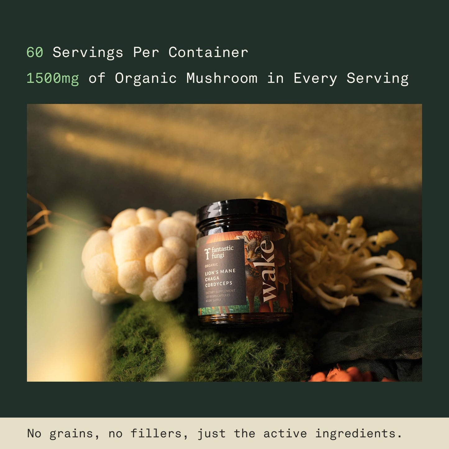 Fantastic Fungi Lions Mane, Cordyceps and Chaga Mushroom Blend Capsules 120 Capsules