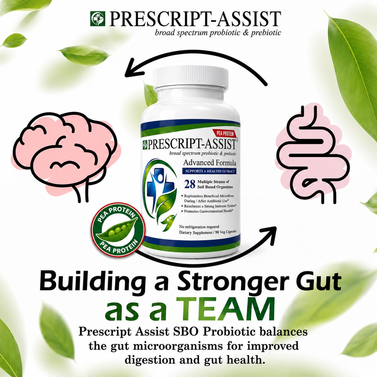 Prescript-Assist Advanced Formula with Pea Protein 28-Strains Soil Microflora Probiotic & Prebiotic for Adults, Soil-Based Probiotics for Gut Health & Digestion, No Refrigeration Needed Capsules, 90 Count