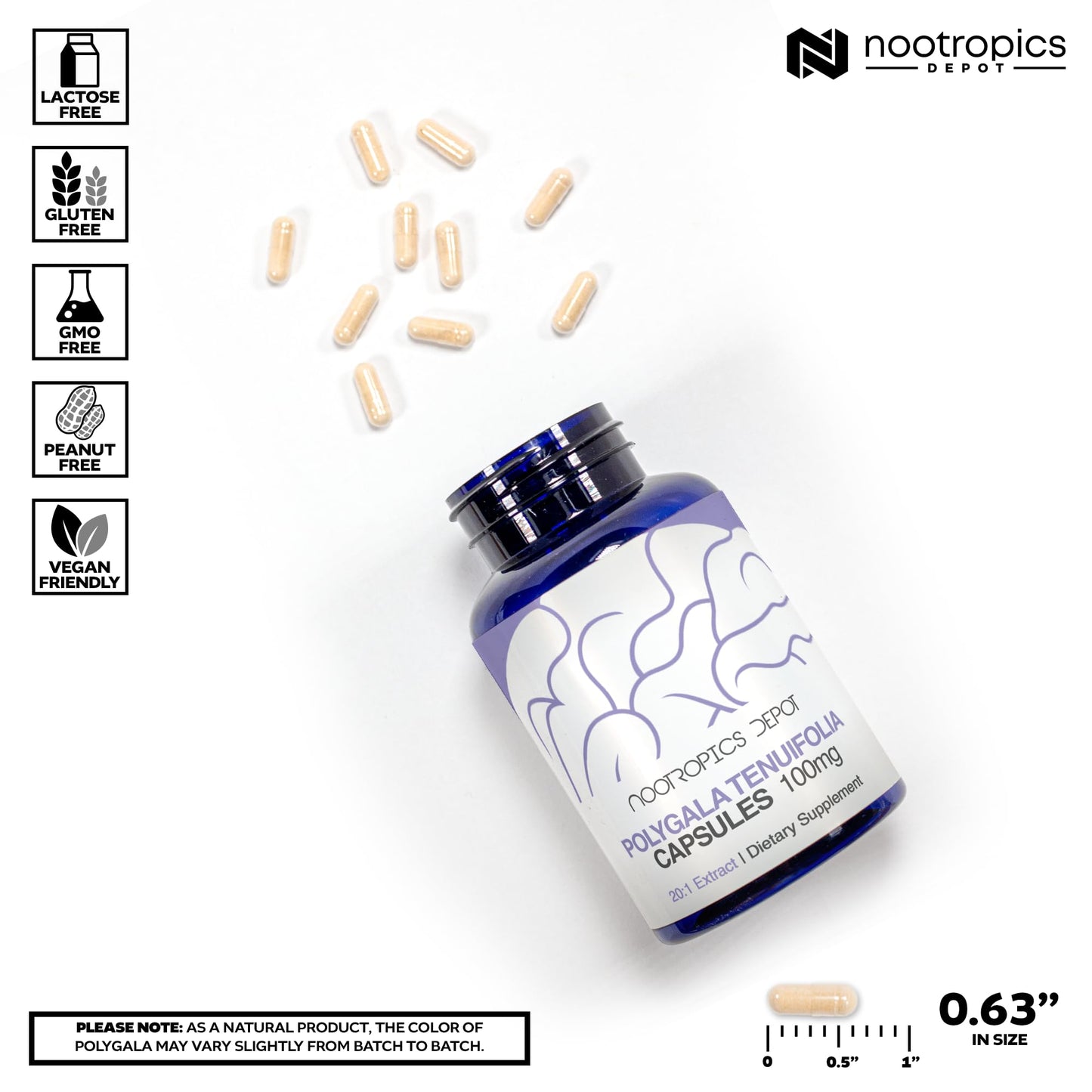 Nootropics Depot Polygala tenuifolia Capsules 180 Count
