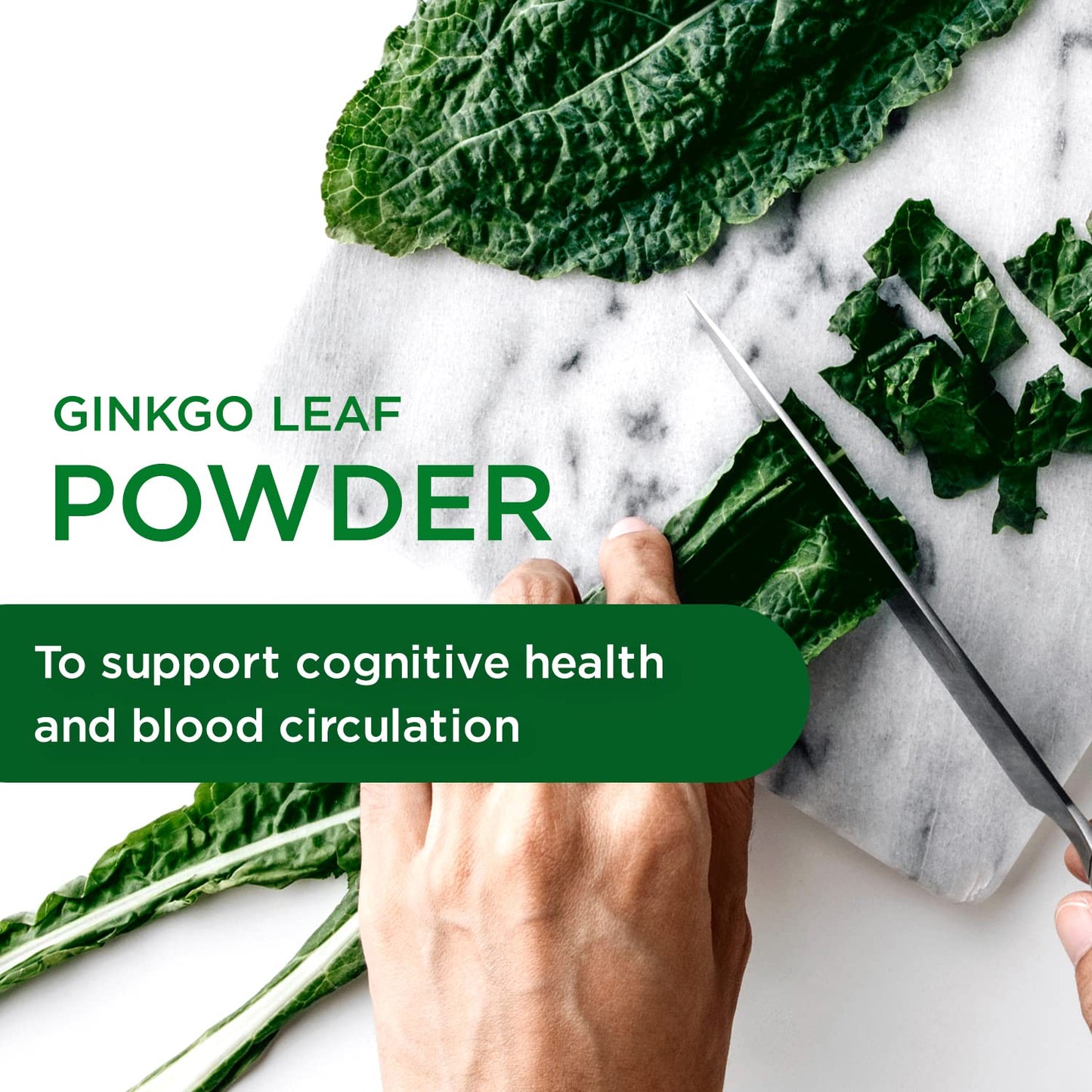 Emerald Labs Ginkgo Biloba Extract Capsule 60 Count