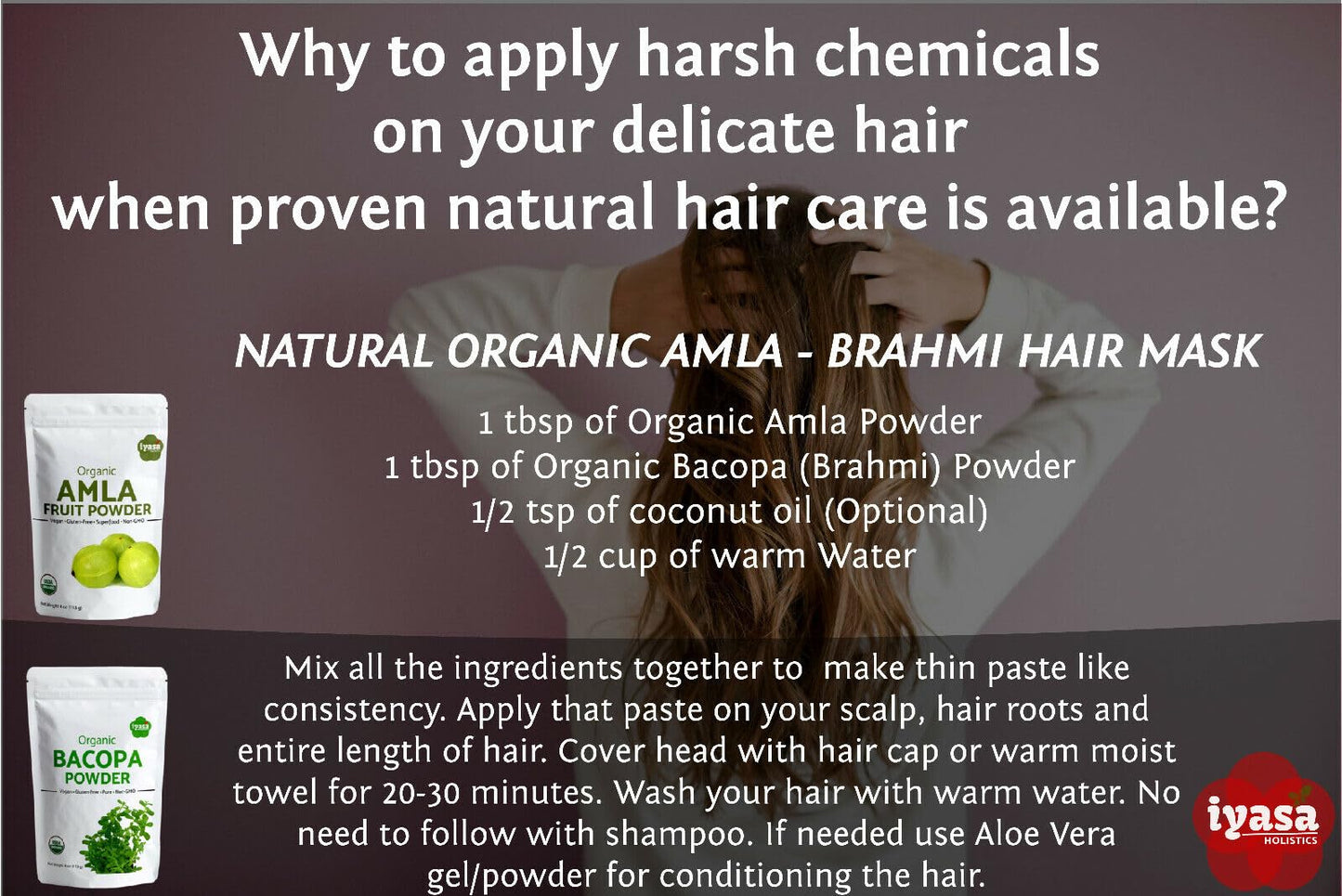 Iyasa Holistics Amla Organic Powder 16 oz