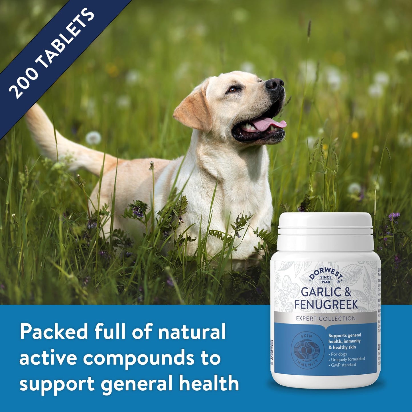 Dorwest Herbs Garlic and Fenugreek Tablets for Dogs and Cats, 200 Tablets