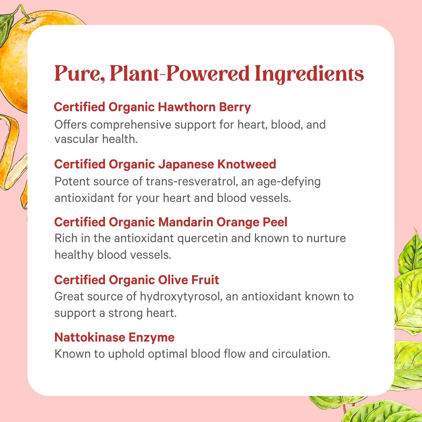 PURE SYNERGY Heart Protector Organic Heart Supplement 60 Capsules