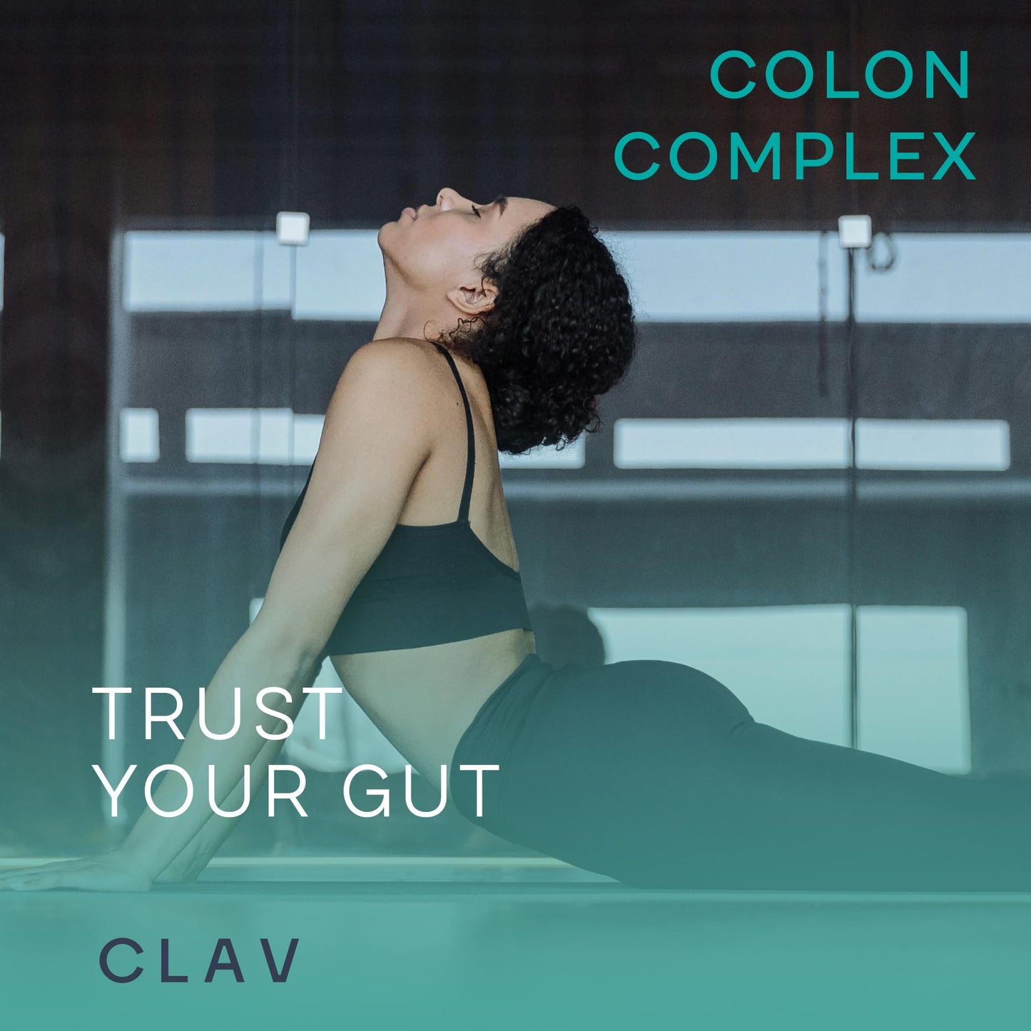 CLAV Psyllium Husks Capsules, 120 Capsules