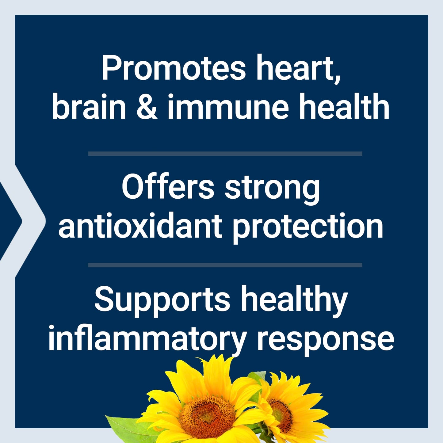 Life Extension Super Vitamin E 268mg & Super K (K1/K2 MK-7/MK-4) Vitamin C, Heart, Brain, Bone & Immune Health, Softgels, 180 Count